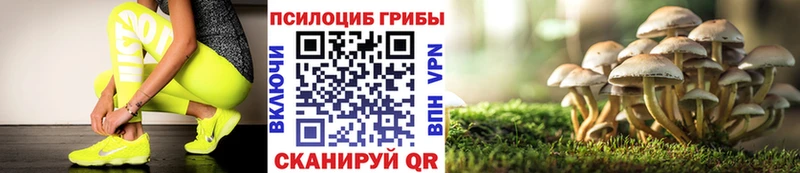 Галлюциногенные грибы мицелий  хочу наркоту  Кадников 